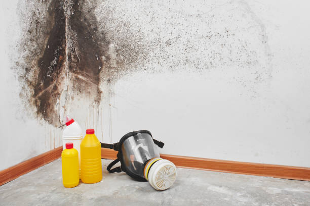 Attic Mold Removal in Slinger, WI