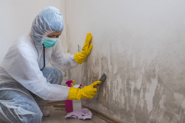 Best Mold Testing  in Slinger, WI