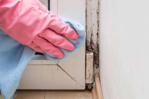 Best Crawl Space Mold Removal  in Slinger, WI
