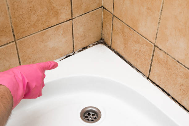 Best Emergency Mold Removal  in Slinger, WI